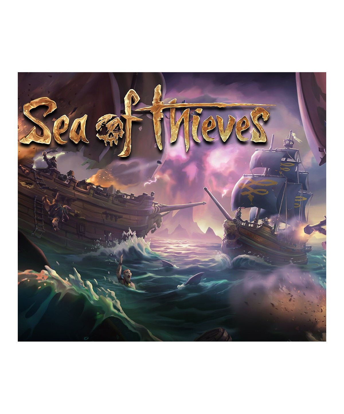 Sea of Thieves - Nightshine Parrot Bundle DLC XBOX One / Windows 10 Xbox One Key GLOBAL